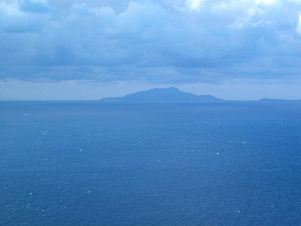 Apartmán Terrazza Felicienne Sorrento Exteriér fotografie